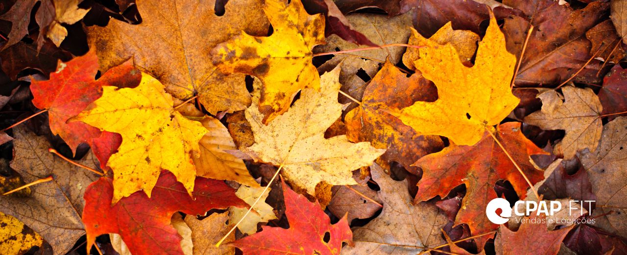 Folhas de outono para lembrar a importância de atenção para quem usa CPAP